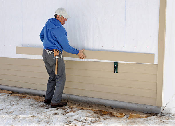 Best Brick Veneer Siding  in Leon, IA