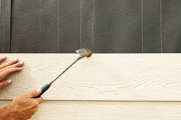 Best Custom Siding Design  in Leon, IA